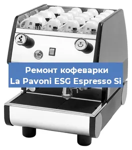 Замена прокладок на кофемашине La Pavoni ESG Espresso Si в Новосибирске